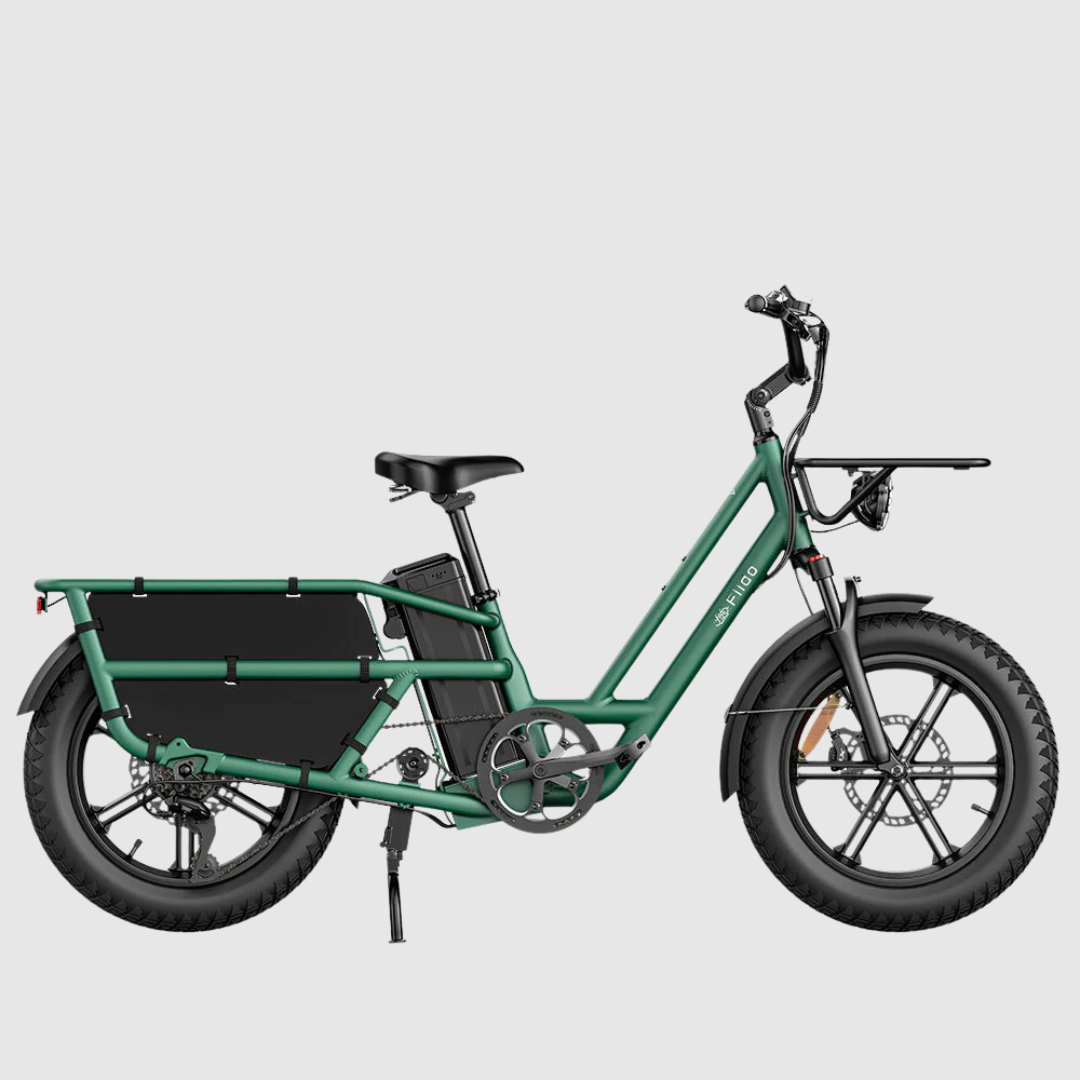 FIIDO | T2 Longtail Cargo E-bike